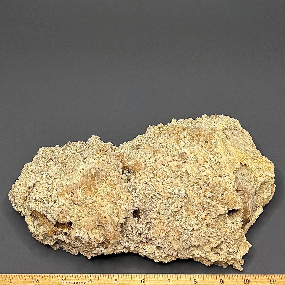 GAL1005 FOSSIL CORAL - Image 4