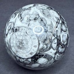 SP622 Fossil Marble Sphere