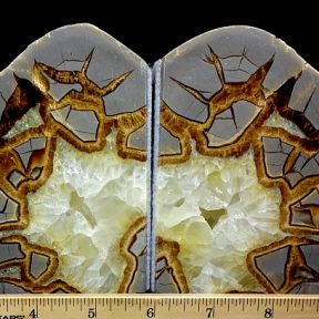 Septarian Bookends