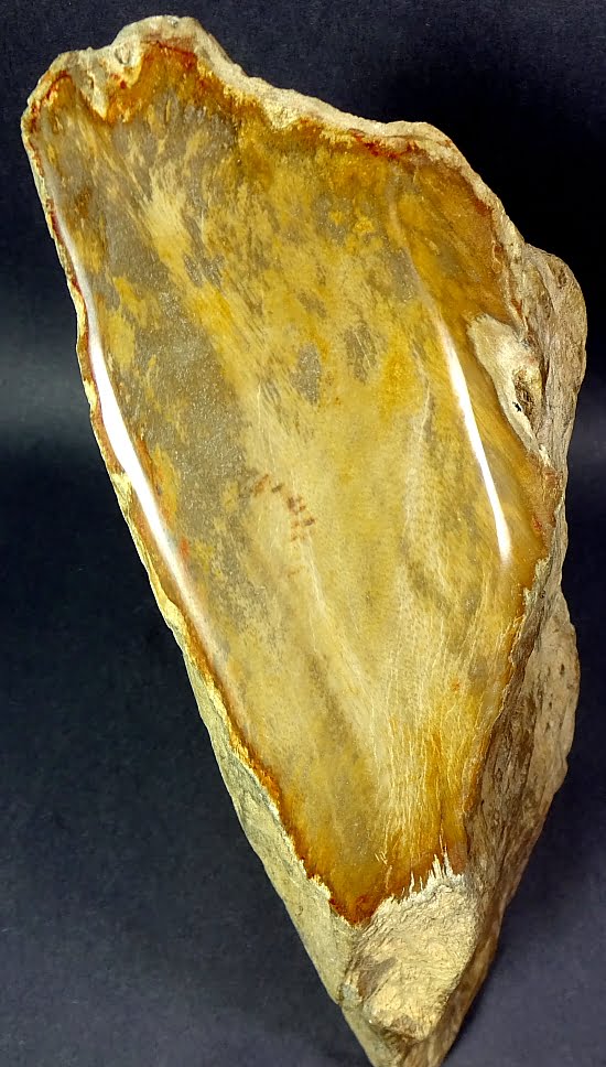 Petrified Wood stand up from Indonesia