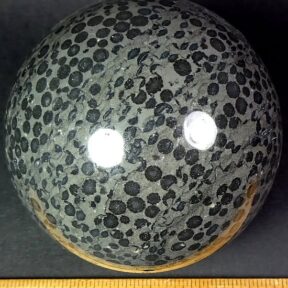 Coral Sphere measuring 3 1/2" in diameter