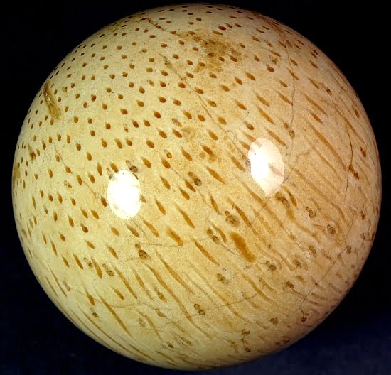 Petrified Palm Wood Sphere