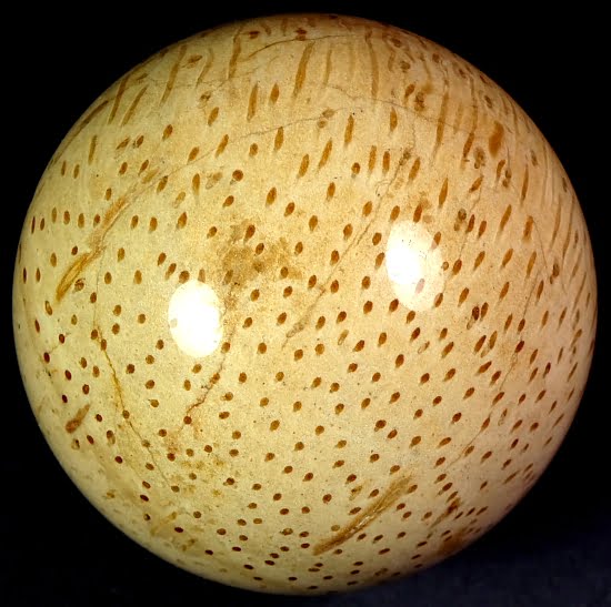 Petrified Palm Wood Sphere