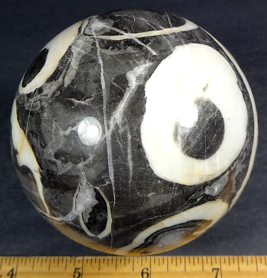 Fossil Shell Marble