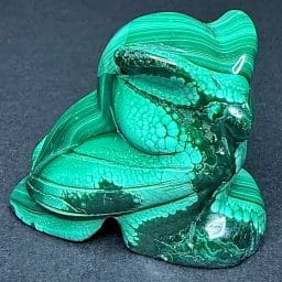 CV210 Malachite Owl