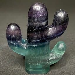CV423: Fluorite Cactus