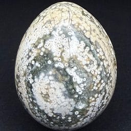 EGG508 Ocean Jasper