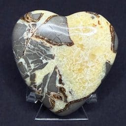 H109 Septarian