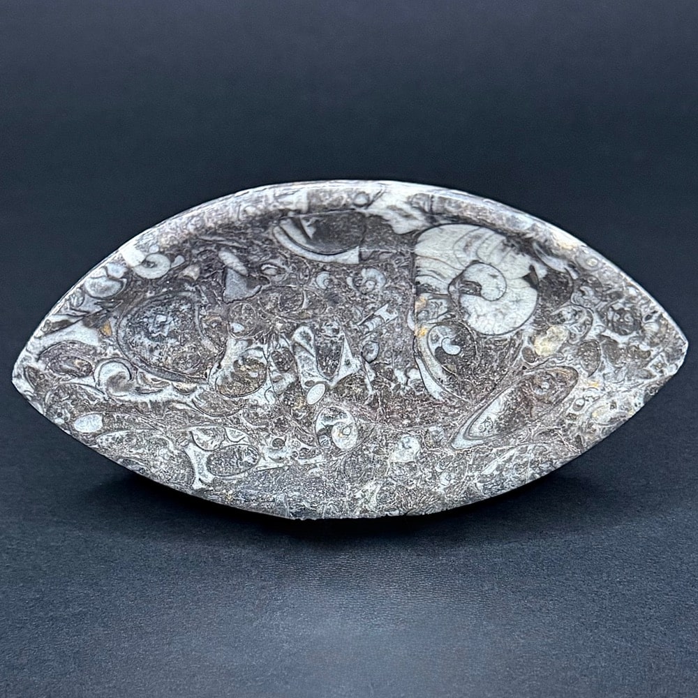 FO107 Fossil Rock Dish