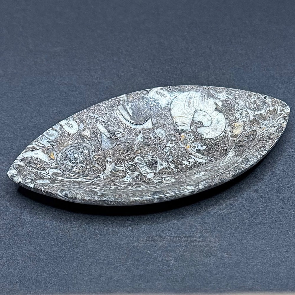 FO107 Fossil Rock Dish