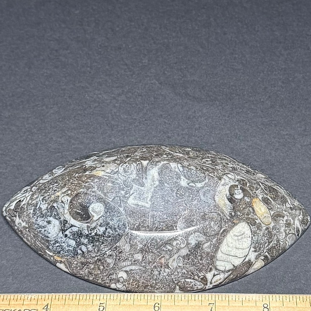FO107 Fossil Rock Dish - Image 2