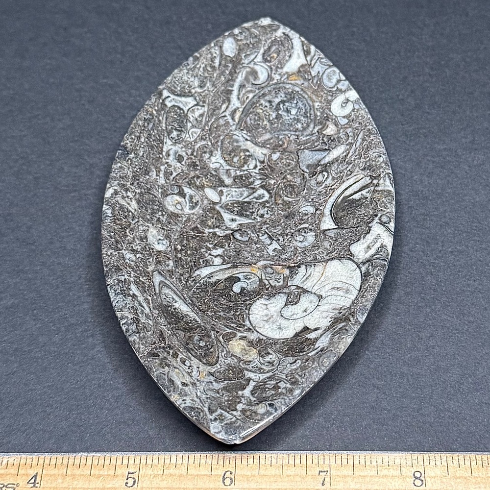 FO107 Fossil Rock Dish - Image 3