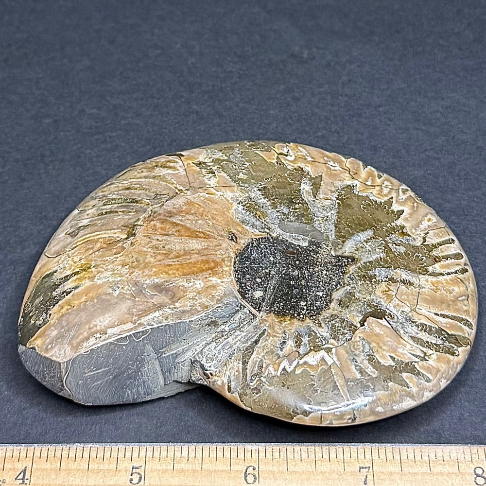 FO209 Ammonite Bowl - Image 3
