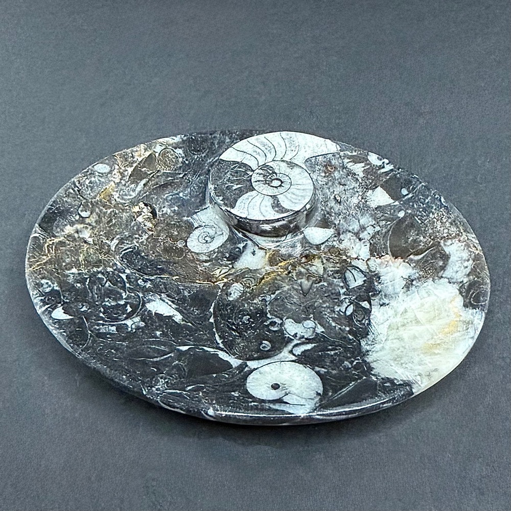 FO615 Fossil Dish