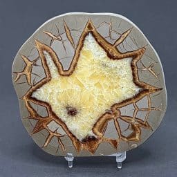 SEP100 Septarian Slab