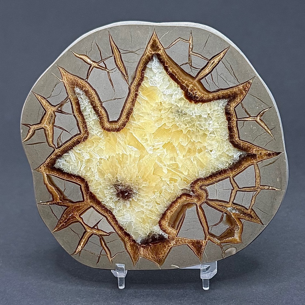 SEP100 Septarian Slab