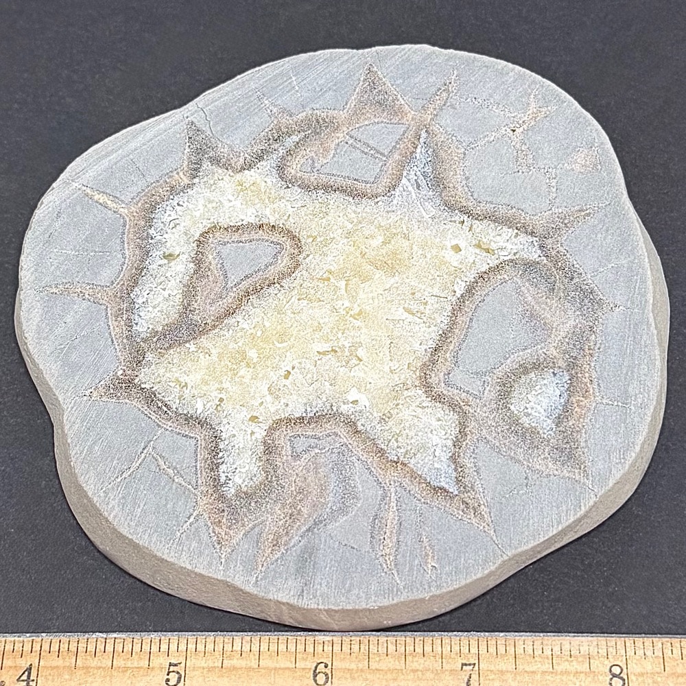 SEP100 Septarian Slab - Image 2