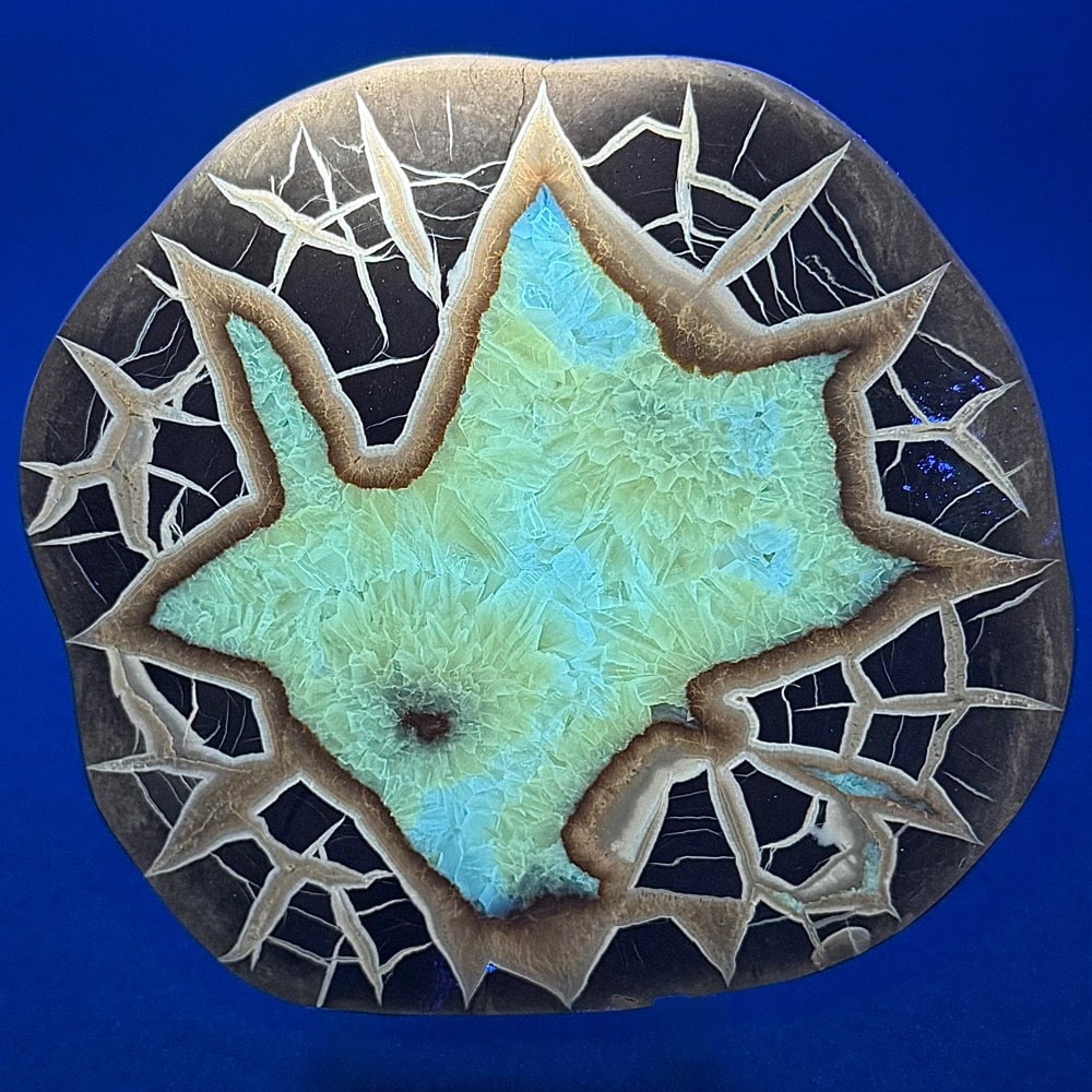 SEP100 Septarian Slab