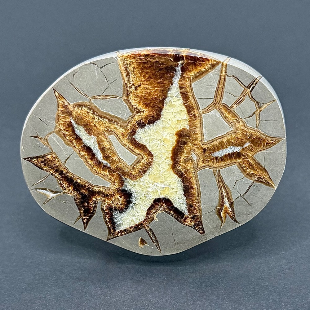 SEP114 Septarian Slab