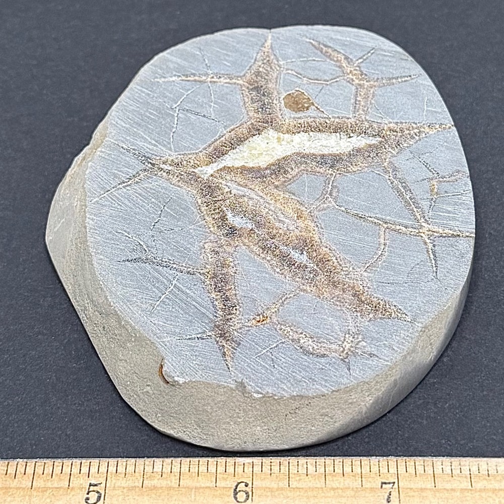 SEP114 Septarian Slab - Image 3