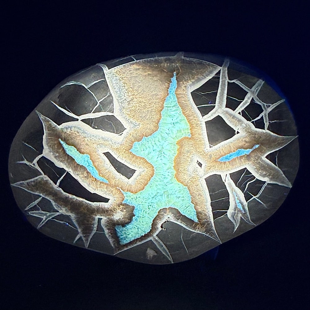 SEP114 Septarian Slab