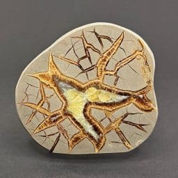 SEP400 Septarian Slab