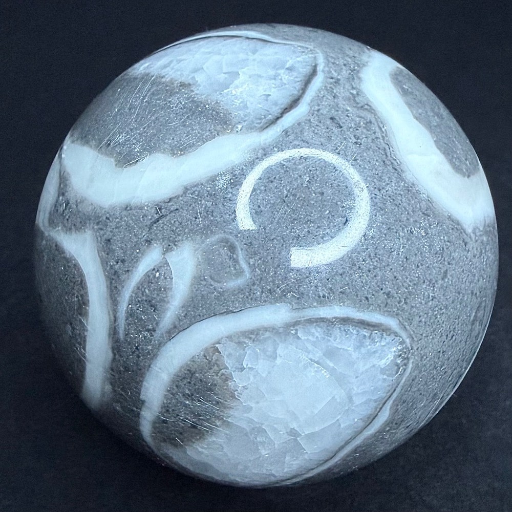 SP313 Fossil Shell Marble