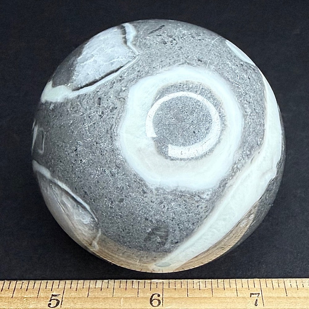 SP313 Fossil Shell Marble - Image 2