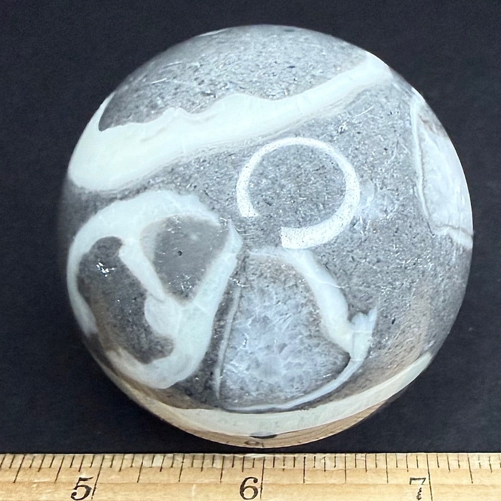 SP313 Fossil Shell Marble - Image 3