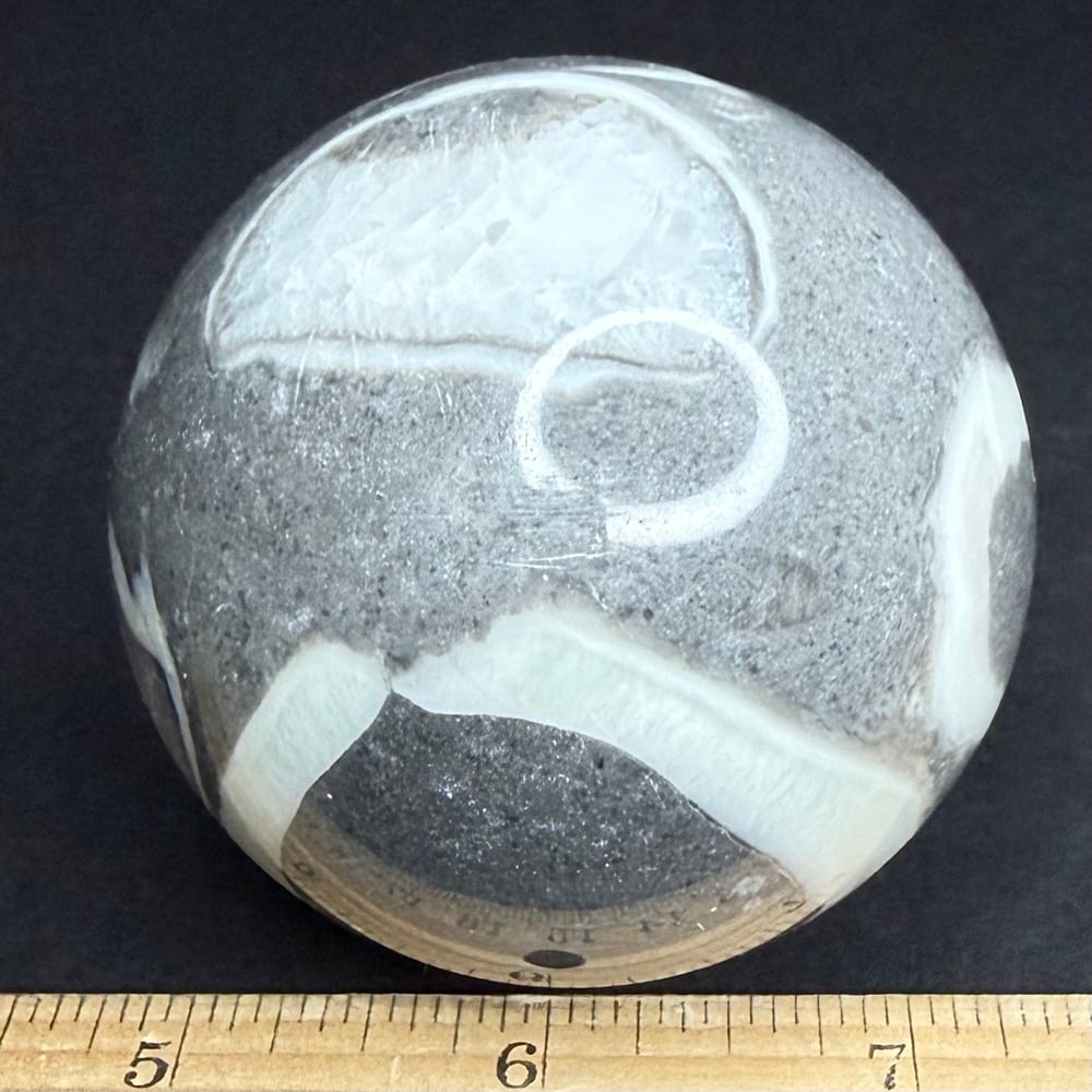 SP313 Fossil Shell Marble