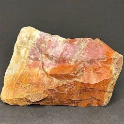 GR102 Arizona Petrified Wood