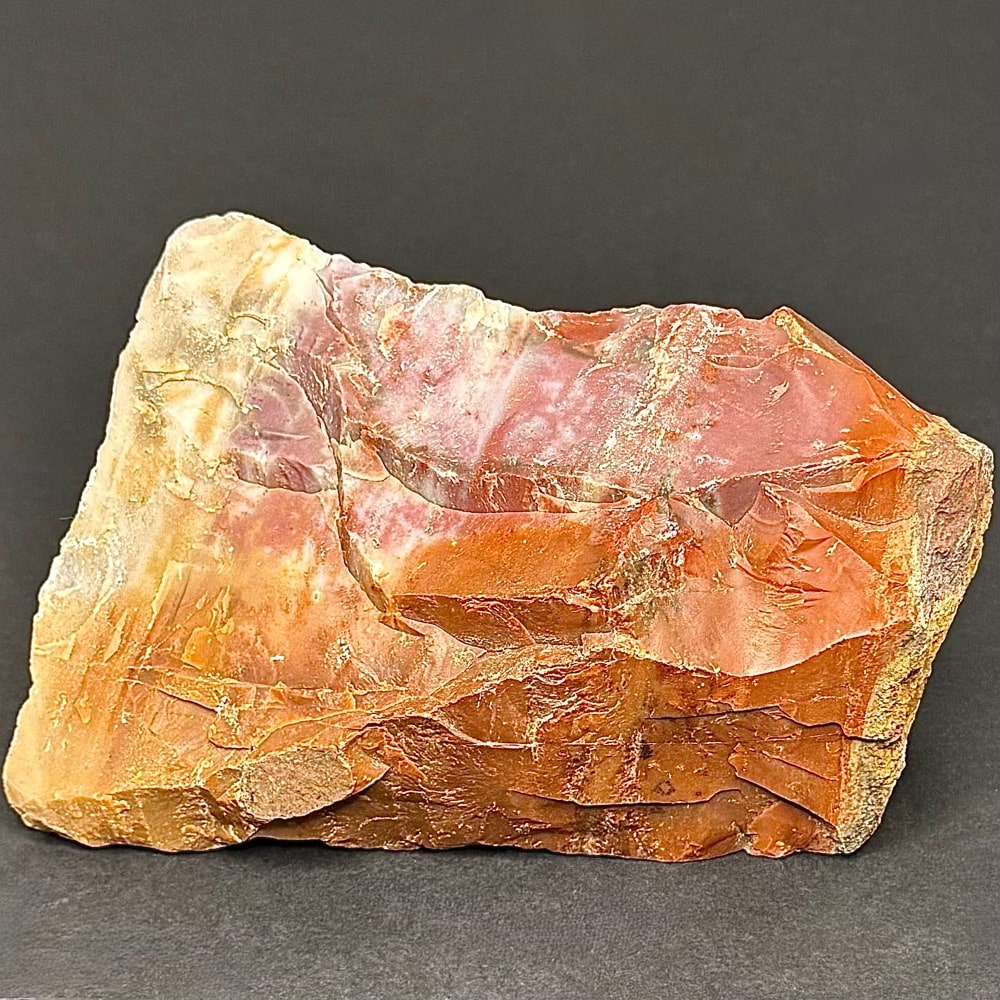 GR102 Arizona Petrified Wood
