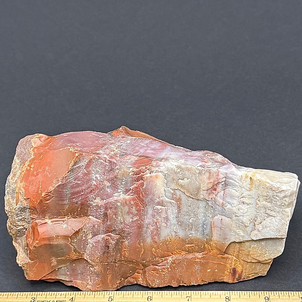 GR102 Arizona Petrified Wood - Image 2