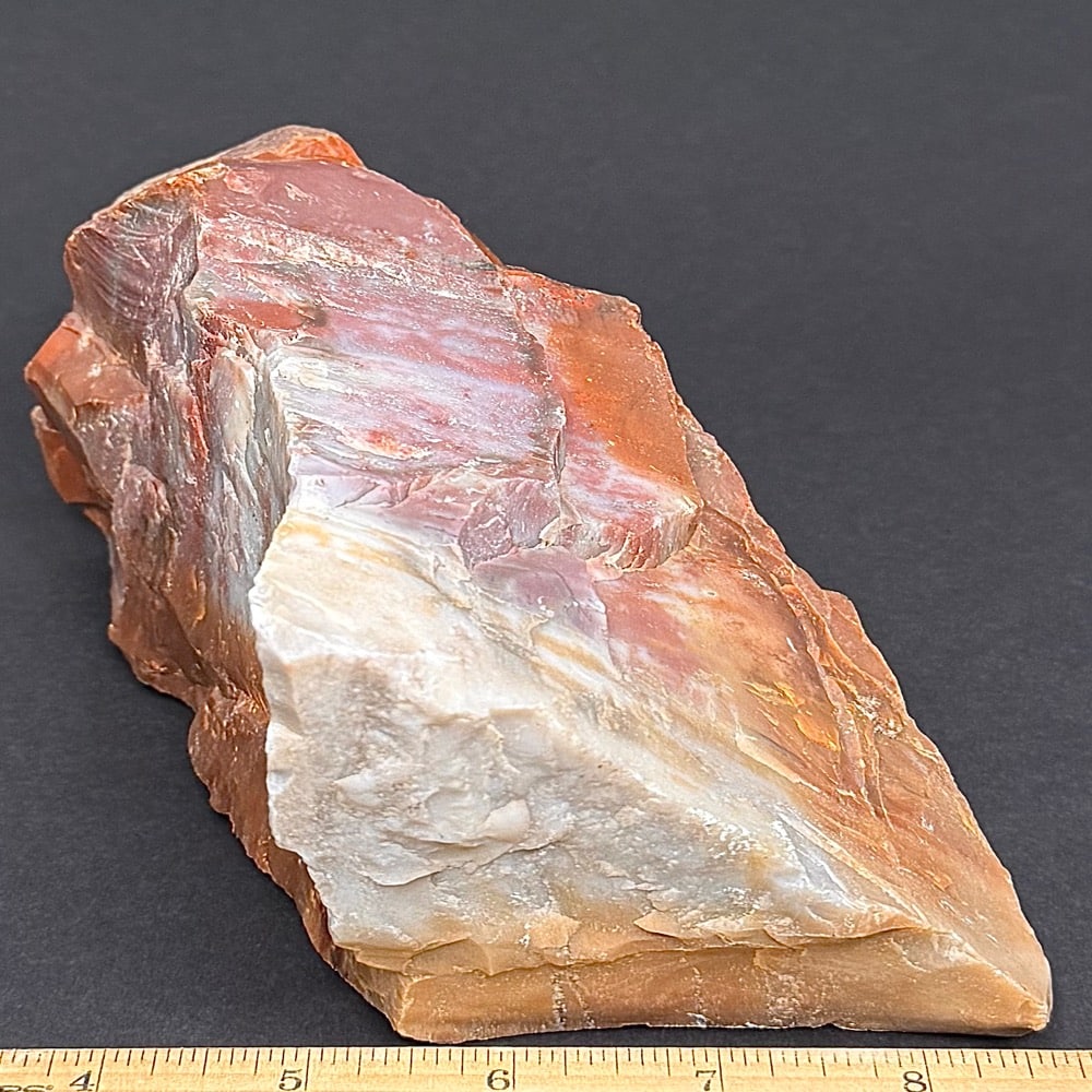 GR102 Arizona Petrified Wood - Image 3