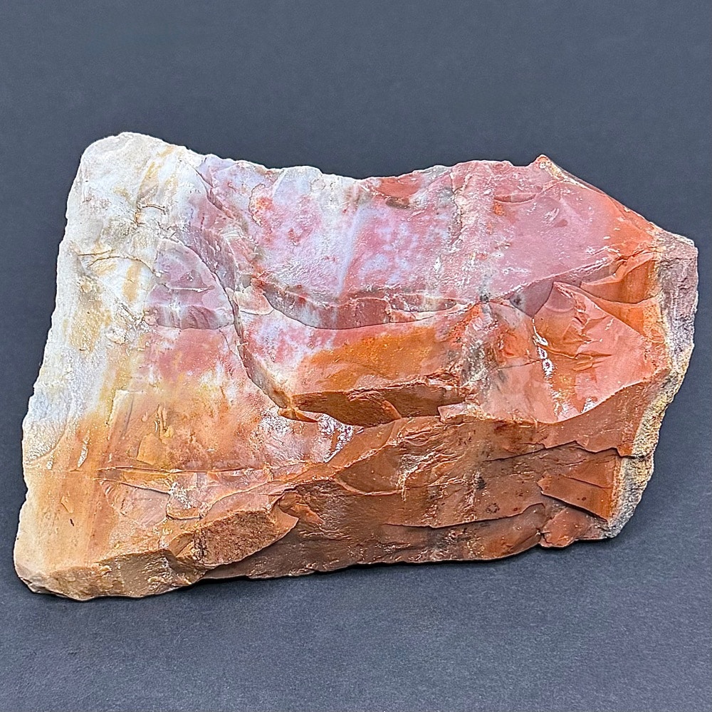 GR102 Arizona Petrified Wood