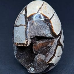 EGG812 Madagascar Septarian