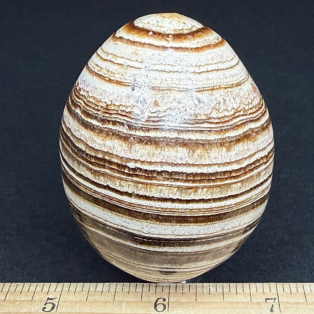 EGG500 Aragonite - Image 2