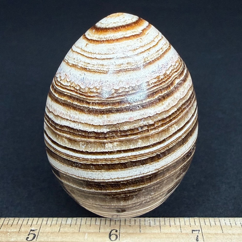 EGG500 Aragonite - Image 3