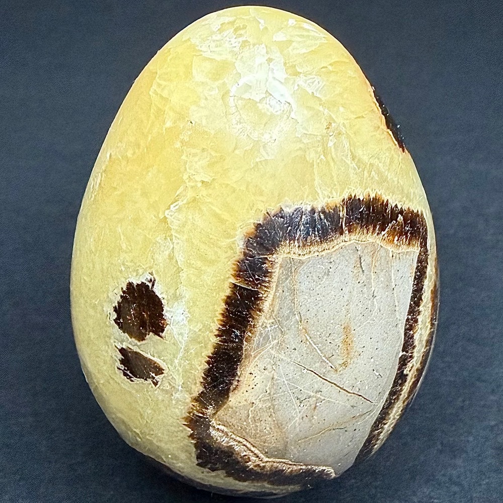 EGG107 Septarian
