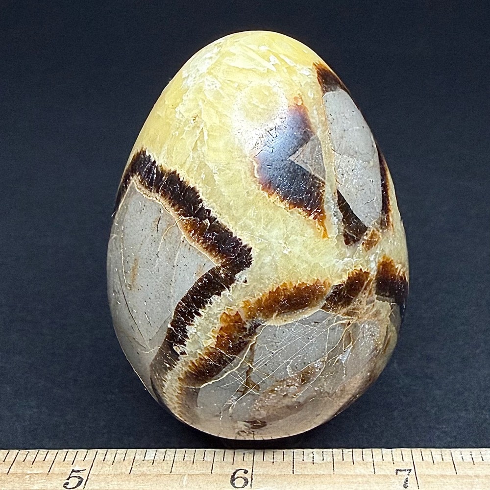 EGG107 Septarian - Image 2