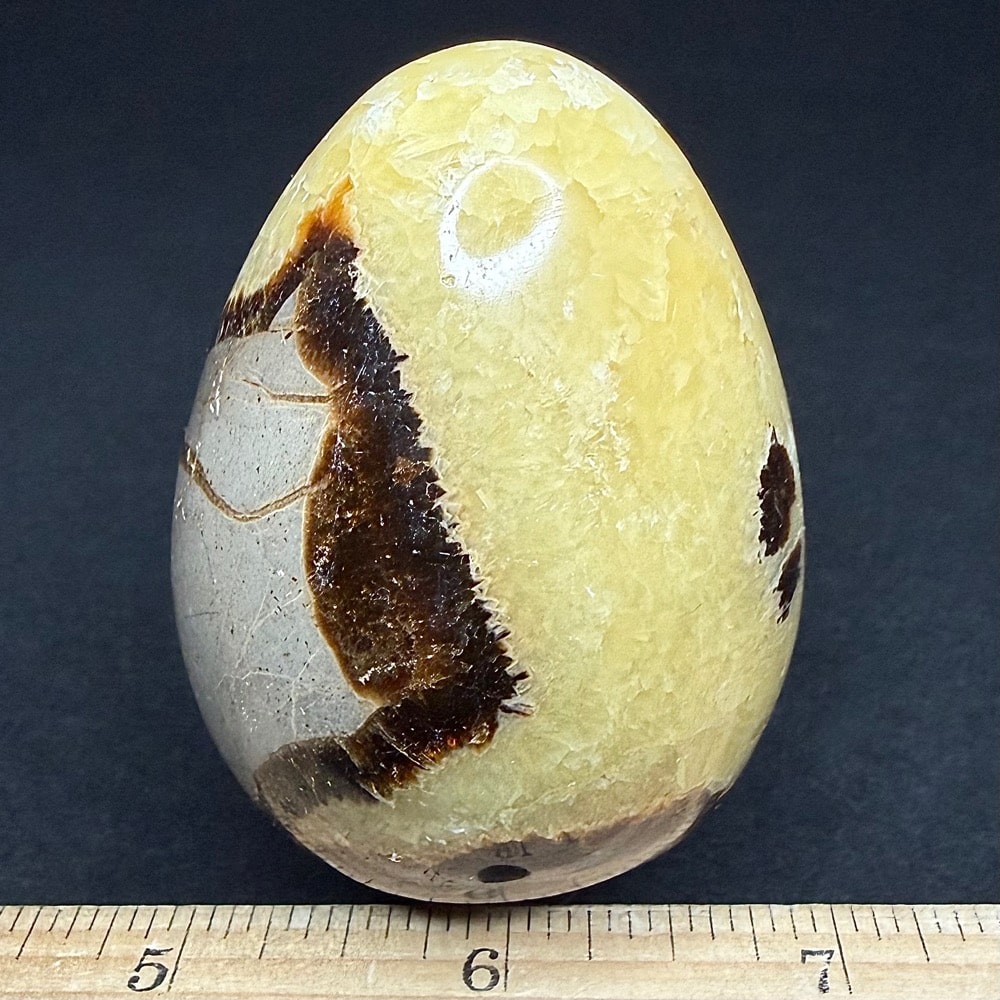 EGG107 Septarian - Image 3