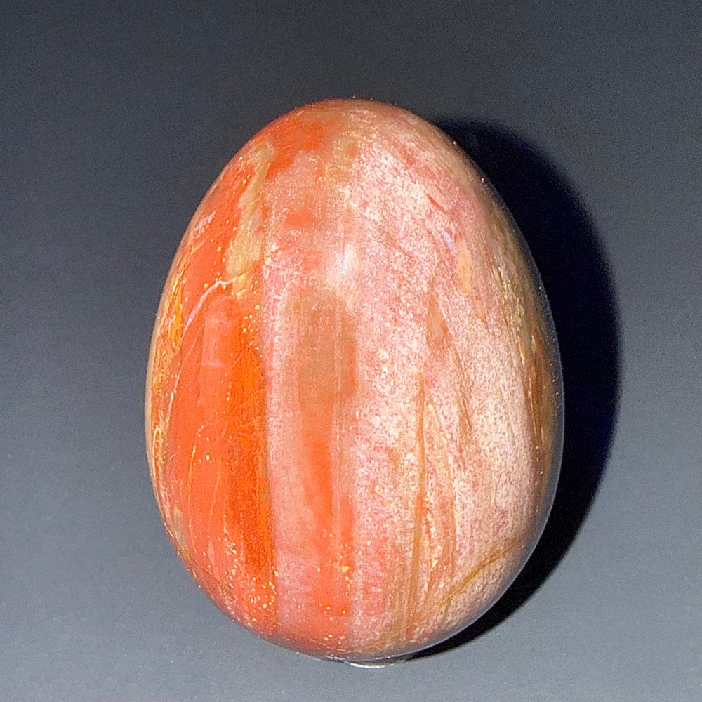 EGG101 Petrified Wood - Image 5