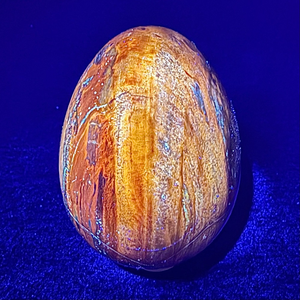 EGG101 Petrified Wood