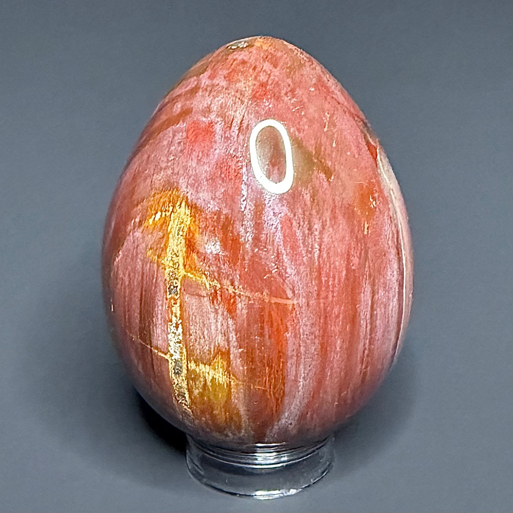 EGG103 Petrified Wood Egg
