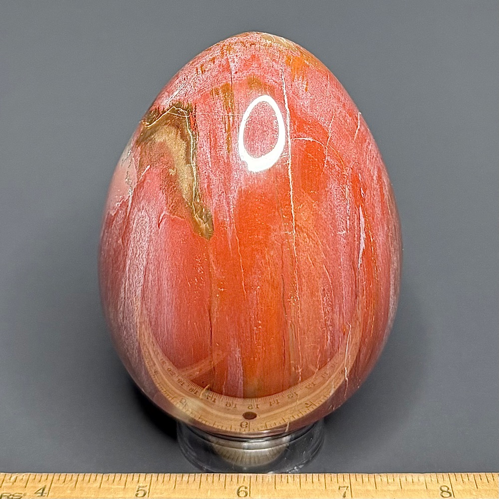 EGG103 Petrified Wood Egg - Image 2