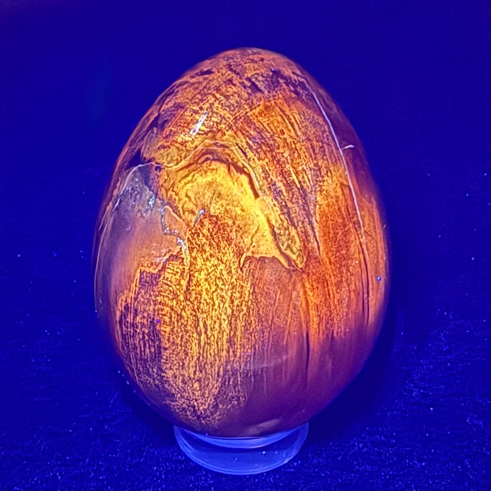 EGG103 Petrified Wood Egg