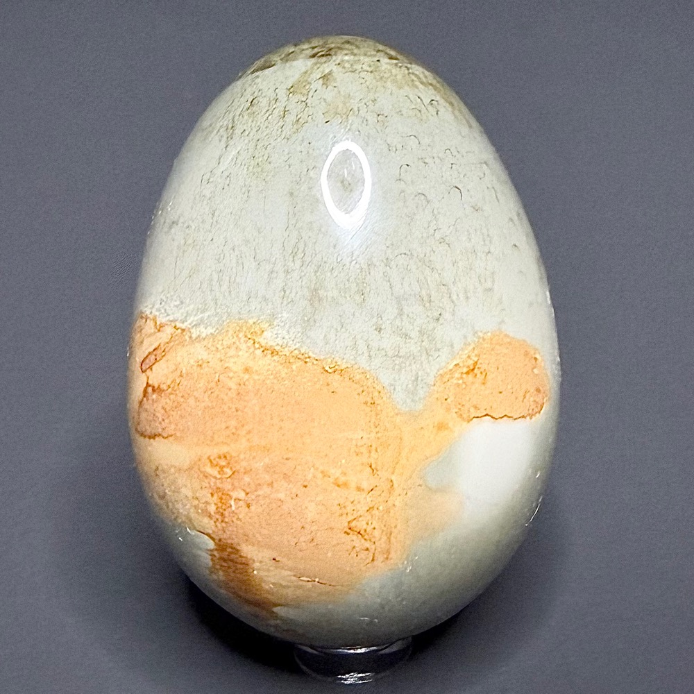EGG509 Polychrome Jasper