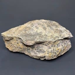 GR122 Dendritic Limestone