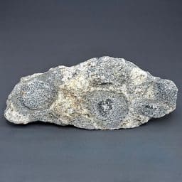 GR127 Orbicular Granite