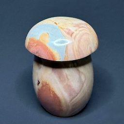 CV201 Polychrome Jasper Mushroom